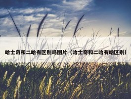 哈士奇和二哈有区别吗图片（哈士奇和二哈有啥区别）