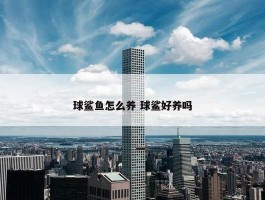 球鲨鱼怎么养 球鲨好养吗