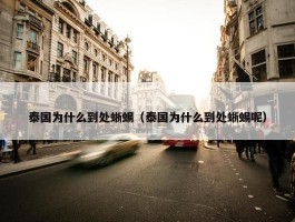 泰国为什么到处蜥蜴（泰国为什么到处蜥蜴呢）