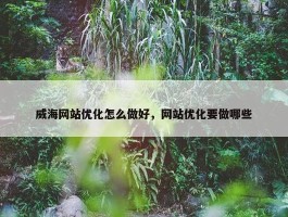 威海网站优化怎么做好，网站优化要做哪些