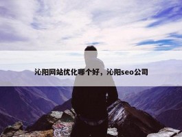 沁阳网站优化哪个好，沁阳seo公司