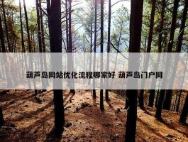 葫芦岛网站优化流程哪家好 葫芦岛门户网