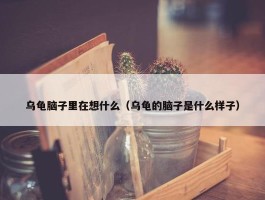 乌龟脑子里在想什么（乌龟的脑子是什么样子）