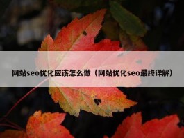 网站seo优化应该怎么做（网站优化seo最终详解）