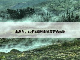 余承东：10月8日纯血鸿蒙开启公测