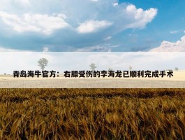 青岛海牛官方：右膝受伤的李海龙已顺利完成手术