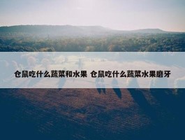 仓鼠吃什么蔬菜和水果 仓鼠吃什么蔬菜水果磨牙