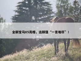 全新宝马X5亮相，这颜值“一言难尽”！