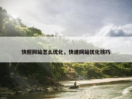 快照网站怎么优化，快速网站优化技巧