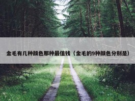 金毛有几种颜色那种最值钱（金毛的9种颜色分别是）