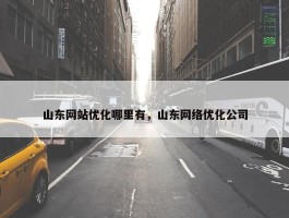 山东网站优化哪里有，山东网络优化公司