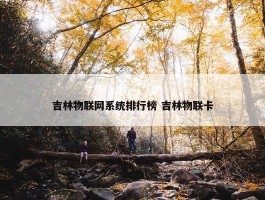 吉林物联网系统排行榜 吉林物联卡