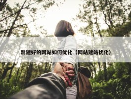 刚建好的网站如何优化（网站建站优化）