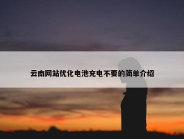 云南网站优化电池充电不要的简单介绍