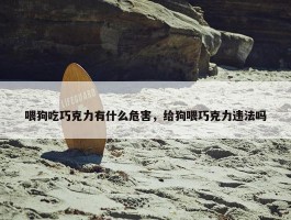 喂狗吃巧克力有什么危害，给狗喂巧克力违法吗