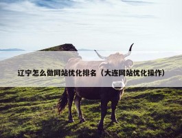 辽宁怎么做网站优化排名（大连网站优化操作）