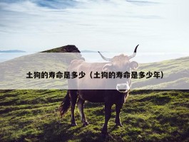 土狗的寿命是多少（土狗的寿命是多少年）