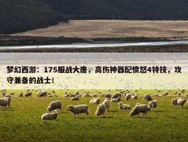 梦幻西游：175服战大唐，高伤神器配愤怒4特技，攻守兼备的战士！