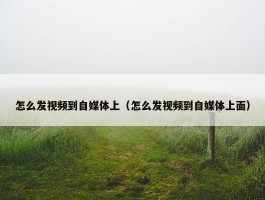 怎么发视频到自媒体上（怎么发视频到自媒体上面）