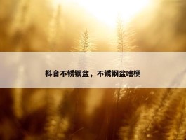 抖音不锈钢盆，不锈钢盆啥梗