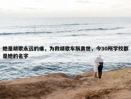 她是胡歌永远的痛，为救胡歌车祸离世，今30所学校都是她的名字