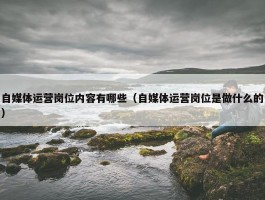 自媒体运营岗位内容有哪些（自媒体运营岗位是做什么的）