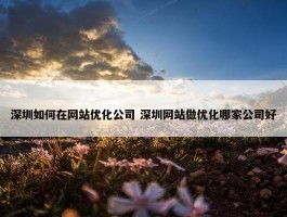 深圳如何在网站优化公司 深圳网站做优化哪家公司好