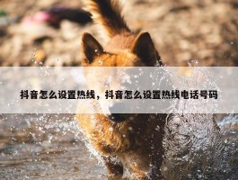 抖音怎么设置热线，抖音怎么设置热线电话号码