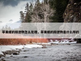 苹果螺的排泄物怎么处理，苹果螺的排泄物是什么样的