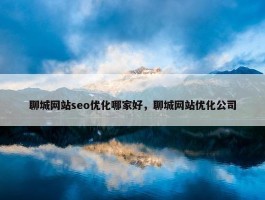 聊城网站seo优化哪家好，聊城网站优化公司