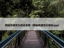 网站快速优化排名怎样（网站快速优化排名app）