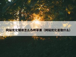 网站优化错误怎么办啊苹果（网站优化是做什么）