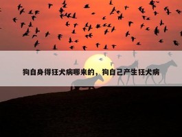 狗自身得狂犬病哪来的，狗自己产生狂犬病