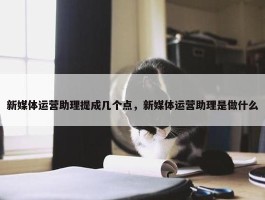 新媒体运营助理提成几个点，新媒体运营助理是做什么