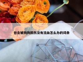 包含被狗狗抓伤没有流血怎么办的词条