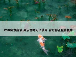 PSN突发崩溃 商店暂时无法使用 官方称正在修复中