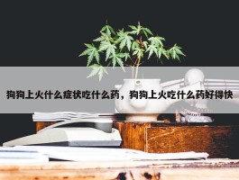 狗狗上火什么症状吃什么药，狗狗上火吃什么药好得快