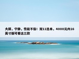 大屏，宁静，性能不俗！双11选本，4000元内16英寸版可看这三款