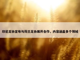 印尼足协宣布与荷兰足协展开合作，内容涵盖多个领域