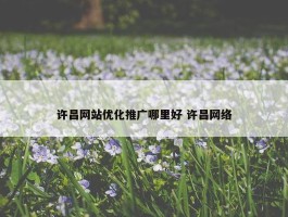 许昌网站优化推广哪里好 许昌网络