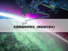 大型网站如何优化（网站进行优化）