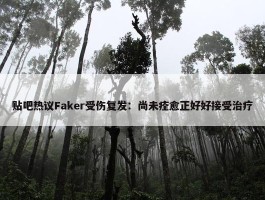 贴吧热议Faker受伤复发：尚未痊愈正好好接受治疗