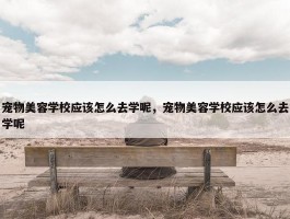 宠物美容学校应该怎么去学呢，宠物美容学校应该怎么去学呢