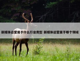 新媒体运营属于什么行业类型 新媒体运营属于哪个领域