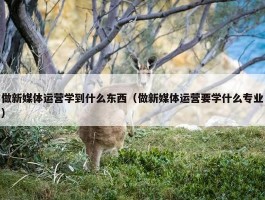 做新媒体运营学到什么东西（做新媒体运营要学什么专业）