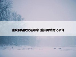 重庆网站优化选哪家 重庆网站优化平台