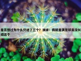 是否想过为什么只进了三个？澳波：我就是满意球员没纠结这个