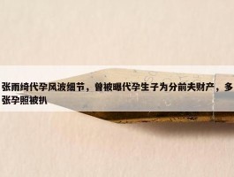 张雨绮代孕风波细节，曾被曝代孕生子为分前夫财产，多张孕照被扒