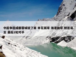 中超争冠成都蓉城说了算 申花赢球 海港输球 榜首易主 最后2轮对手