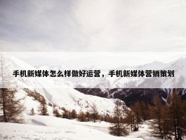 手机新媒体怎么样做好运营，手机新媒体营销策划